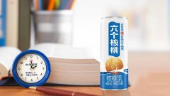 养元六个核桃驰骋健康消费时代 ：用匠心做产品 以品
